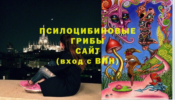 наркотики Алексин